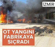 İzmir’de otluk alandaki yangın palet fabrikasına sıçradı