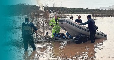 Çaya düşen köpek yavruları kurtarıldı