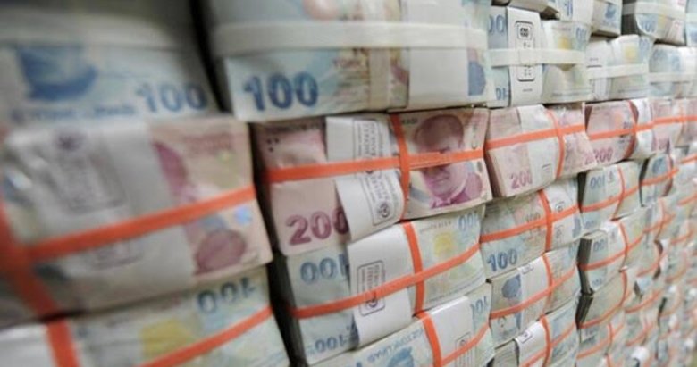 tvf den kritik karar kamudaki sigorta