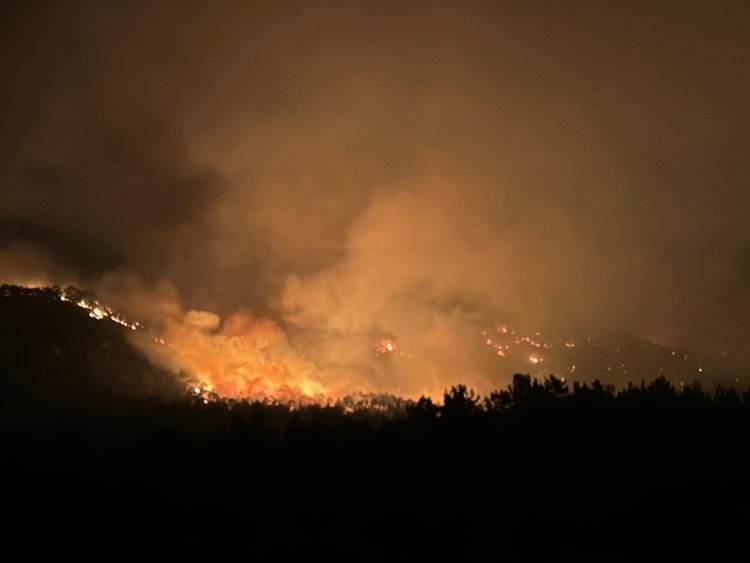 Uşak’ta 40 saat süren orman yangını kontrol altına alındı