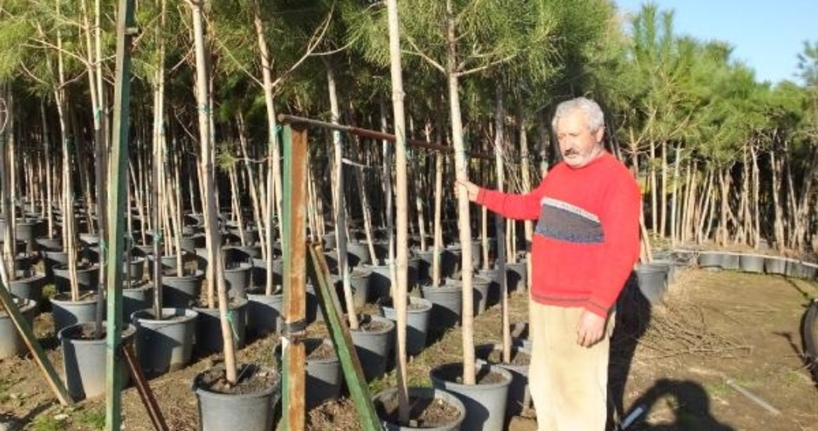 emekli bankaci fistik cami ureticisi oldu