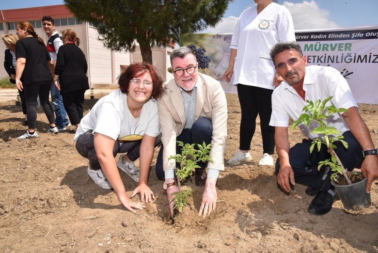 İzmir tarımında bir ilk: Kara mürver Menemen’de toprakla buluştu