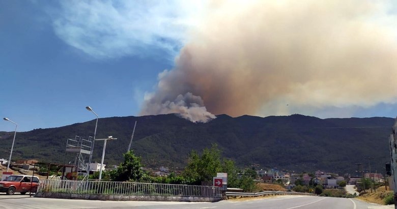Aydın’da ormanlık ve makilik alanda yangın