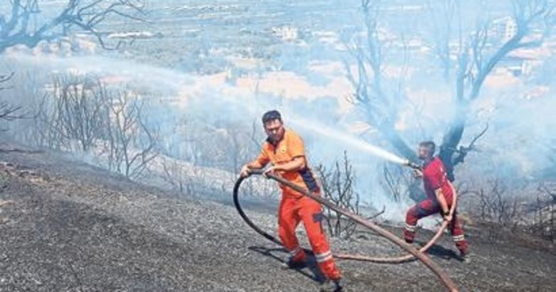 Tarım alanında çıkan yangın ormana sıçradı