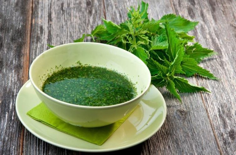 Isırgan otunun faydaları nelerdir?