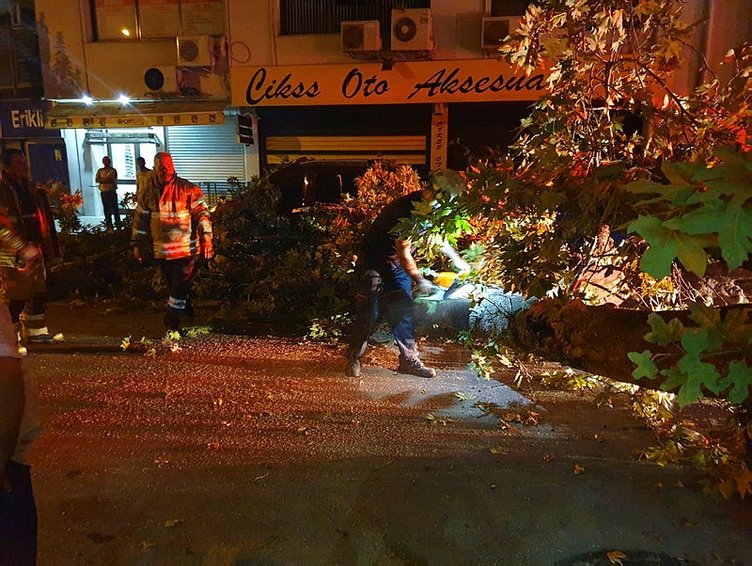 İzmir Konak’ta ağaç devrildi! 1 kişi yaralandı