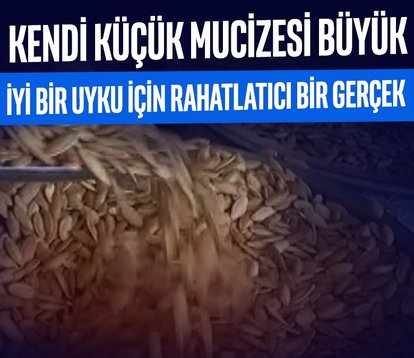 Doğadaki küçük mucize: Kabak çekirdeği