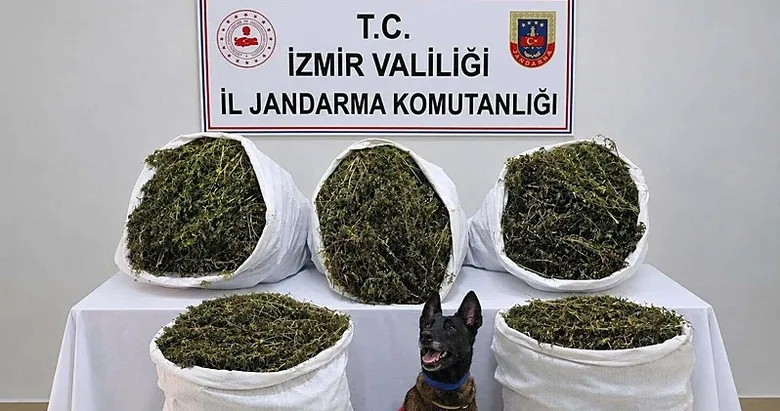 İzmir’de uyuşturucu operasyonu! Kilolarca esrar ele geçirildi