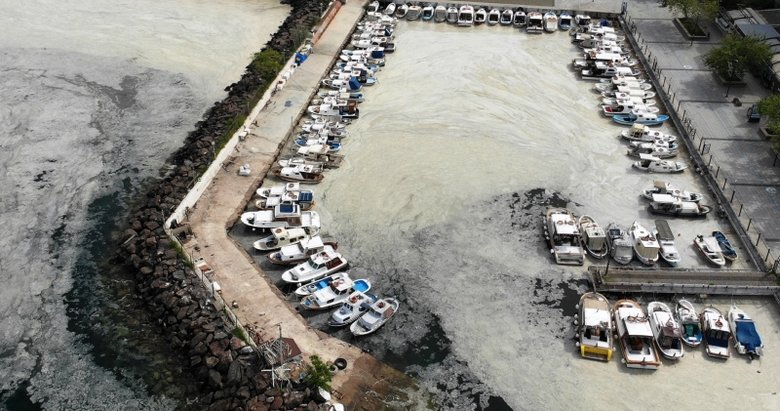 Bakan Kurum’dan ’müsilaj’ açıklaması: Acil eylem planını hazırlıyoruz