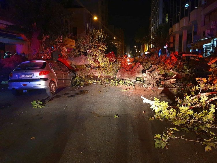 İzmir Konak’ta ağaç devrildi! 1 kişi yaralandı