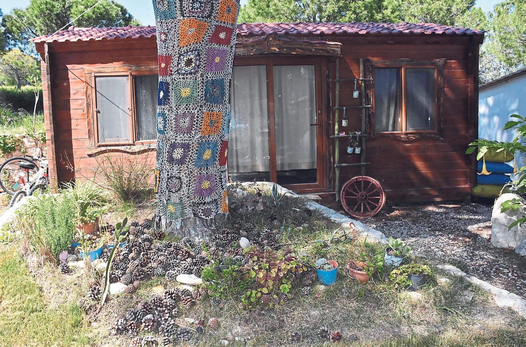 Salgindan Dogaya Kacis Pazar Haberleri