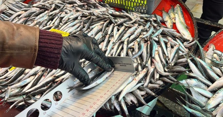 Denizli’de su ürünleri denetimi... İşyerlerine ceza yağdı