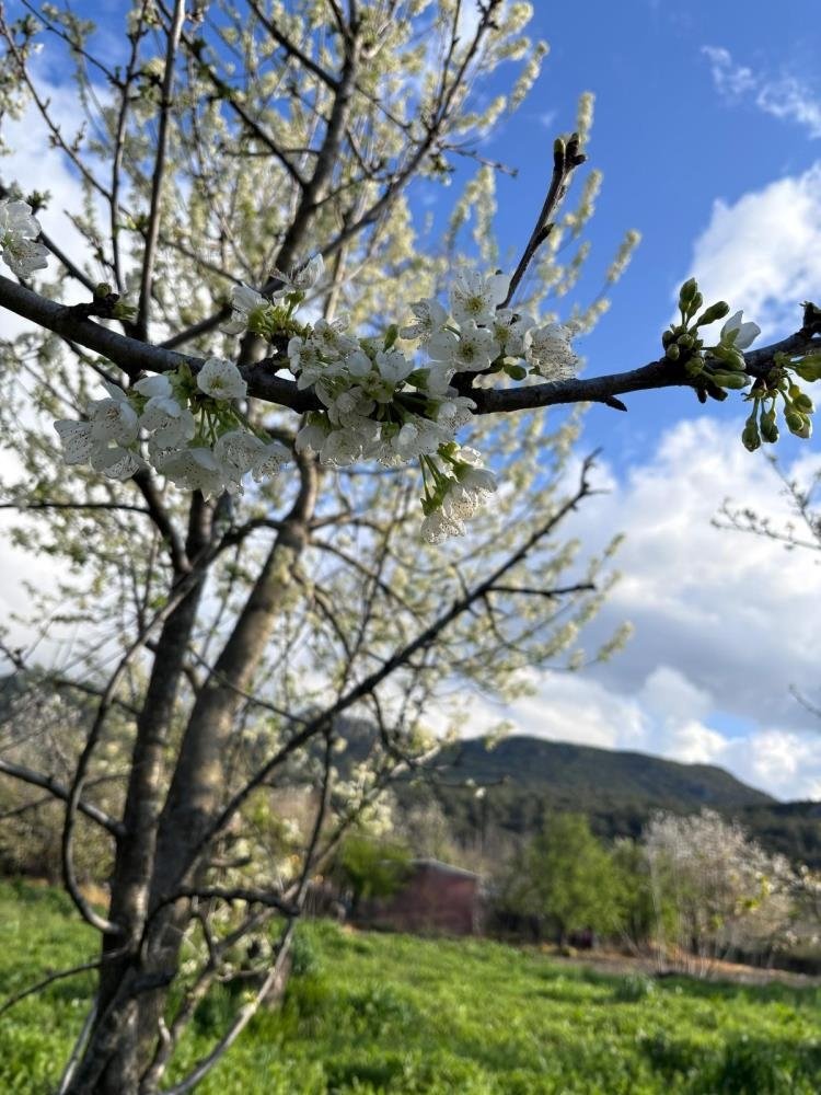 Balkanlardan gelen soğuk hava dalgası tüm Ege’yi etkileyecek