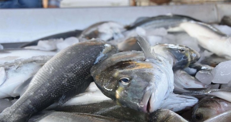 Bodrum’da balık festivali coşkusu