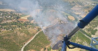 15 metrelik çam ağacı park halindeki araçların üzerine devrildi