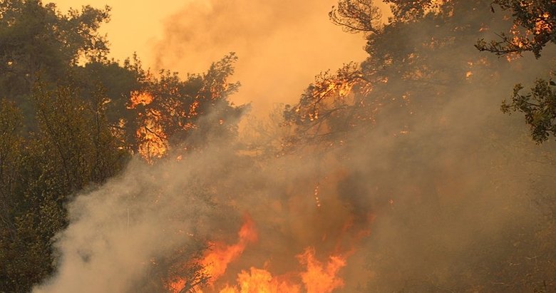 Çanakkale Gelibolu alev alev yanıyor! Yangını haberleri peş peşe geldi