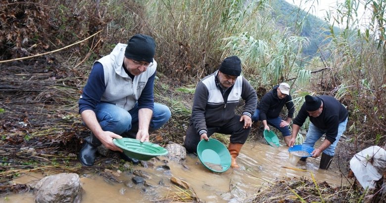 Buz gibi suya aldırış etmeden altın avına çıktılar