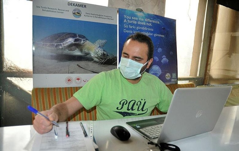 Gezgin caretta Tuba! Dolaşmadığı yer kalmadı... Yaklaşık iki yılda 10 bin kilometre yol aldı