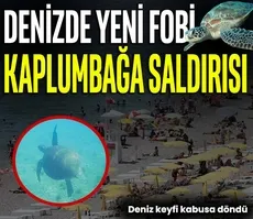 Denizde yeni fobi kaplumbağa saldırısı