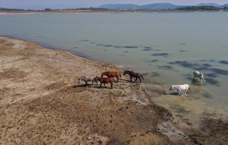 İzmir’deki Tahtalı Barajı’nda doluluk oranı alarm veriyor!