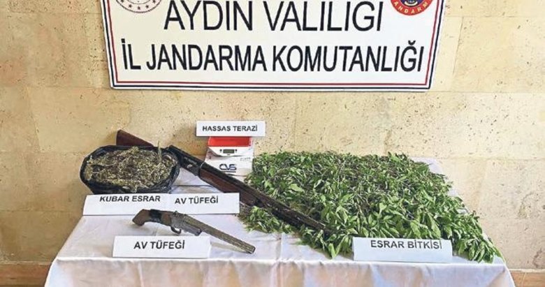 Evde 1 Kilo 250 Gr Esrar Sakl yordu Ayd n Haberleri evde-1-kilo-250-gr-esrar-sakl-yordu-ayd-n-haberleri