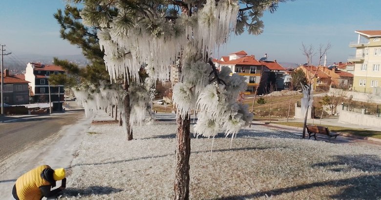 Kütahya’da şaşırtan manzara! Buz tutan ağaçlar ilginç görüntüler oluşturdu