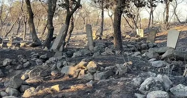 Balıkesir’de yangın felaketi! Mezarlar bile küle döndü