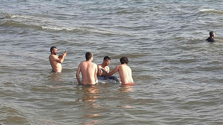 Yaşasın diye defalarca denize geri ittiler ama ölü olarak kıyıya vurdu