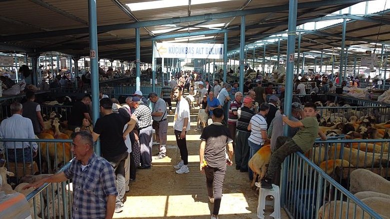 Denizli Hayvan Pazarı’nda kurban hareketliği başlıyor