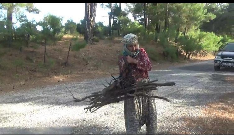 Çanakkale’de 94 yaşındaki Hanide Teyze kışlık odununu sırtında taşıyor