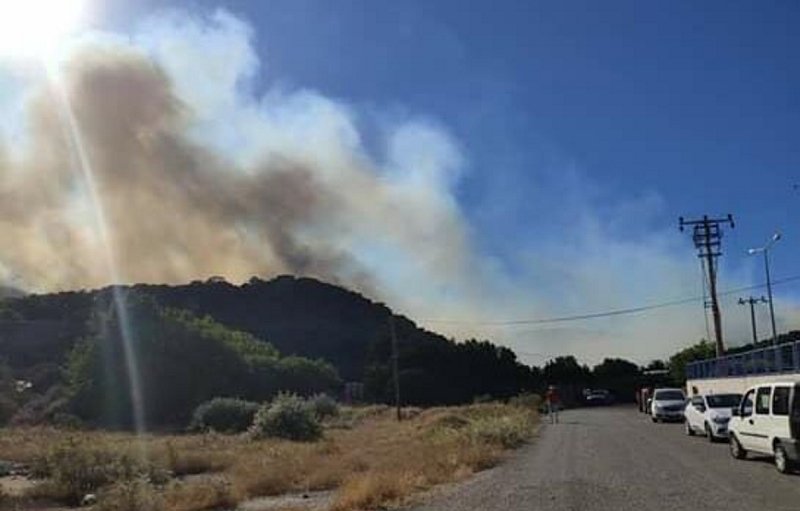 İzmir Çandarlı'da yangın