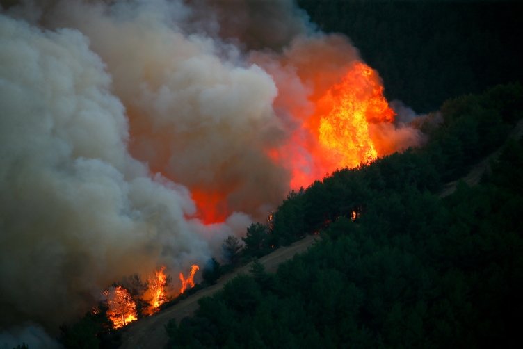 İzmir’deki orman yangınında son durum
