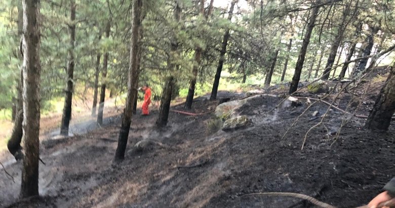 Kazdağları’nda orman yangını! Havadan müdahale ile söndürüldü