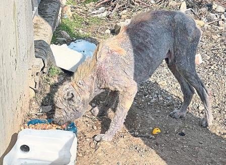 Gün batımı terası çürümeye mi terk edildi!