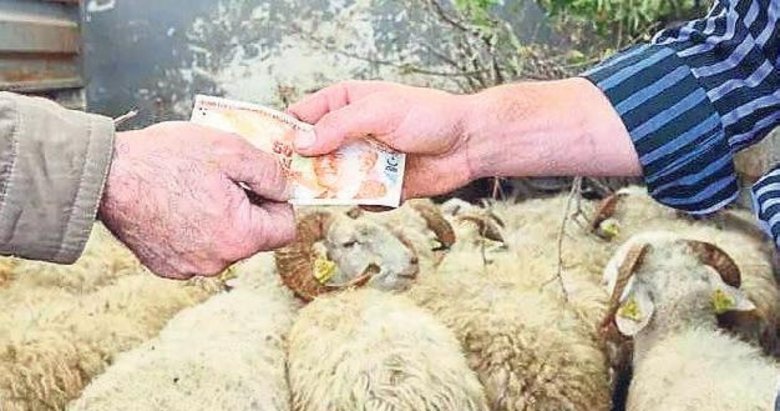 2023 yılı kurbanlık fiyatları belli oldu