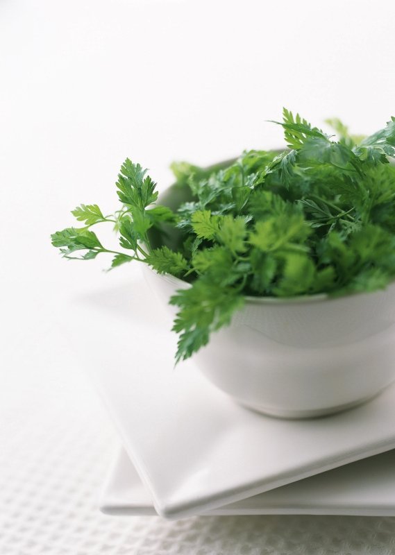 Zayıflamak için tüketilebilecek bitki çayları