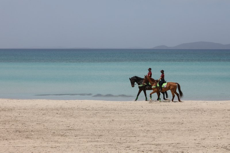 Atlı polisler turizm merkezi Çeşme sahillerini denetledi