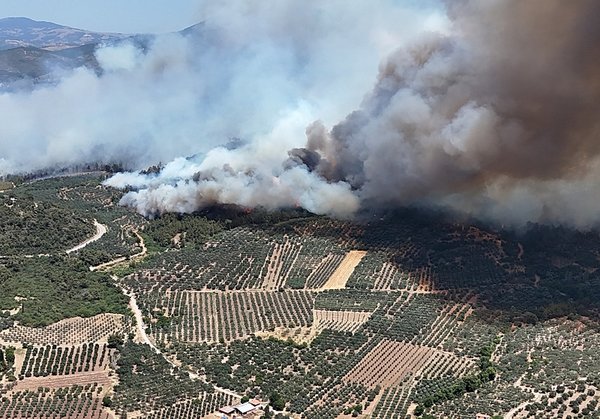 son-dakika-manisadaki-orman-yangini-2-gununde-iste-son-durum-1751178560600.jpg