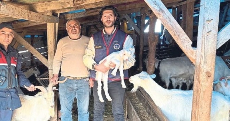 Kayıp hayvanlar dron yardımıyla 16 saatte bulundu