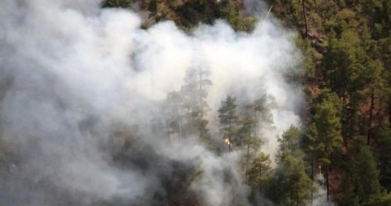 Muğla’da iki farklı noktada orman yangını