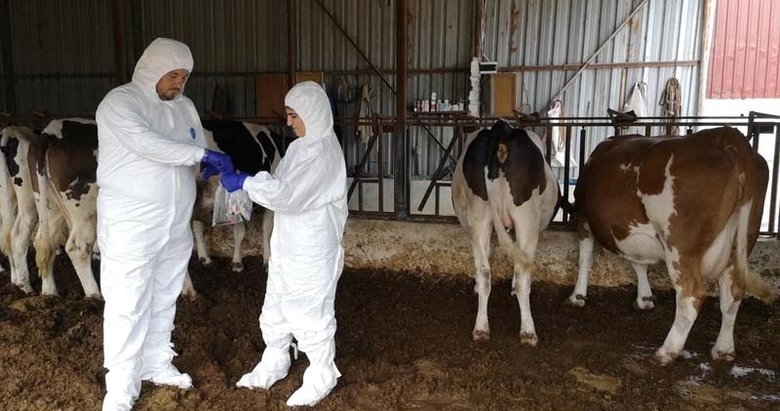 Ege’nin o ilinde 20 mahalle karantinaya alındı