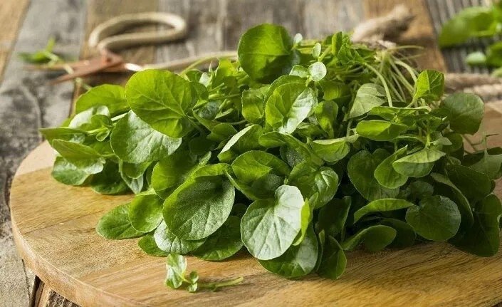 Bu bitkinin faydaları saymakla bitmiyor! A, K ve C vitaminlerine yüksek oranda sahip