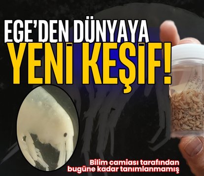 Ege’den dünyaya yeni keşif