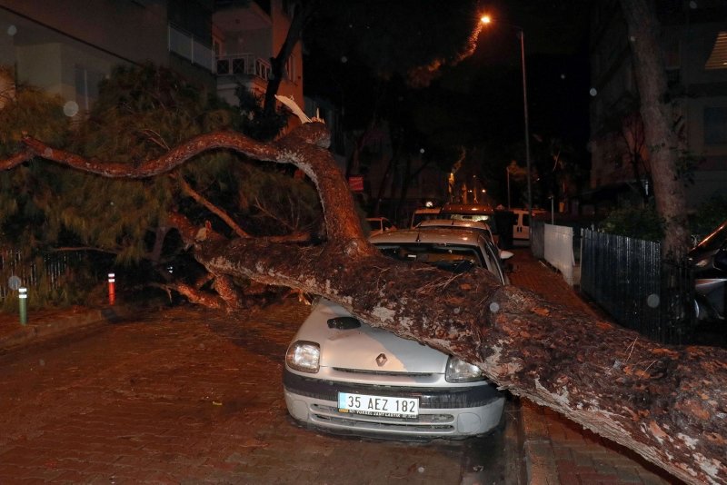 İzmir’de çam ağacı otomobilin üzerine devrildi