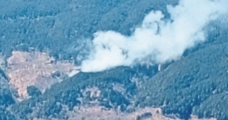 Aydın’da 7 dekar alan kül oldu