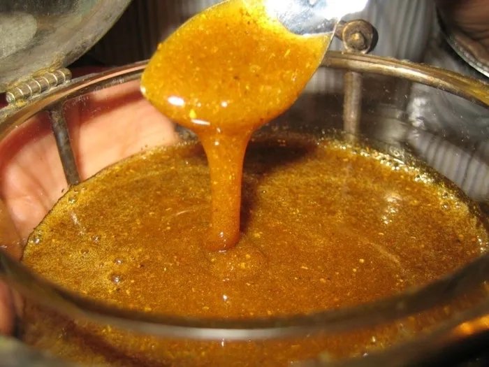 Kanuni Sultan Süleyman’ın annesi Hafsa Sultan’ın şifa kaynağı: Her gün 1 kaşık yiyin...