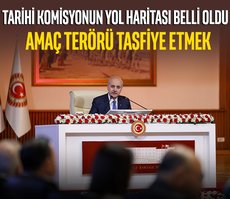 Tarihi komisyonun yol haritası belli oldu