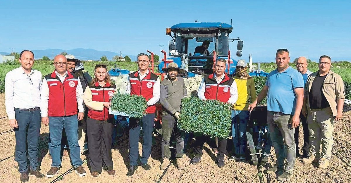 Manisa’da kırmızı altın toprakla buluşuyor