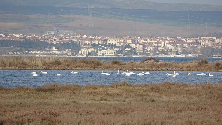 Çanakkale’de ortaya çıktı: İklim değişikliğinin bu etkisini kimse böyle beklemiyordu!