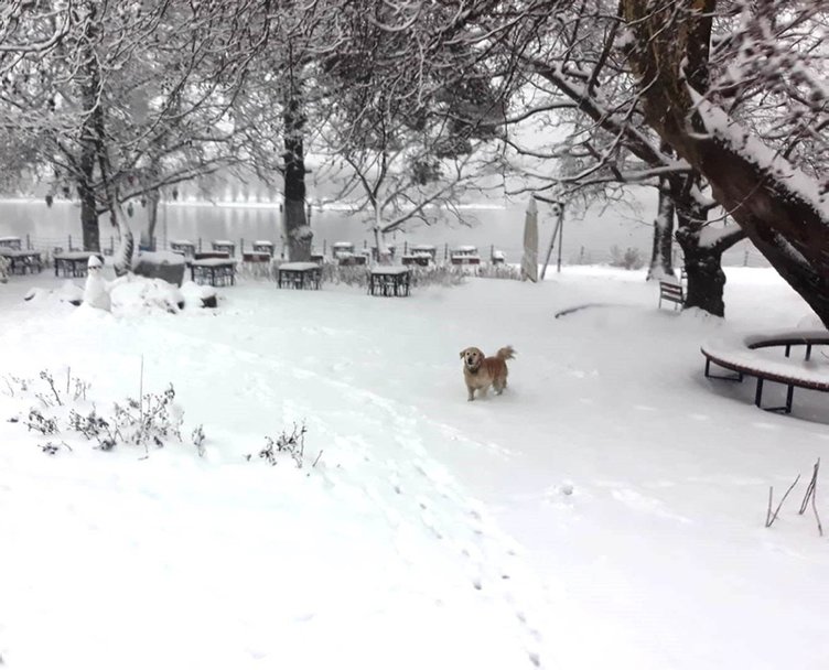 İzmir’de kar alarmı! Ödemiş’te ekiplerden yoğun mücadele